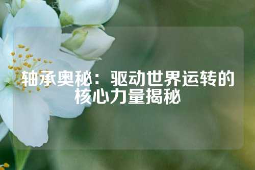 轴承奥秘：驱动世界运转的核心力量揭秘