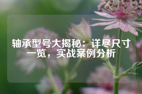 轴承型号大揭秘：详尽尺寸一览，实战案例分析