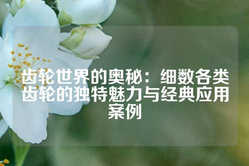 齿轮世界的奥秘：细数各类齿轮的独特魅力与经典应用案例