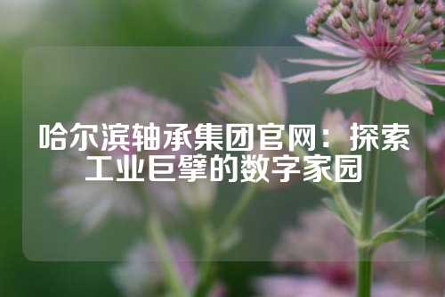 哈尔滨轴承集团官网：探索工业巨擘的数字家园