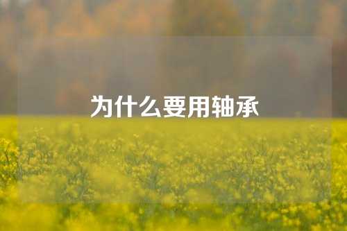 为什么要用轴承