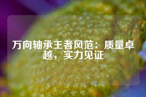 万向轴承王者风范：质量卓越，实力见证