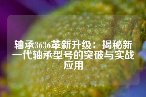 轴承3636革新升级：揭秘新一代轴承型号的突破与实战应用