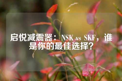 启悦减震器：NSK vs SKF，谁是你的最佳选择？