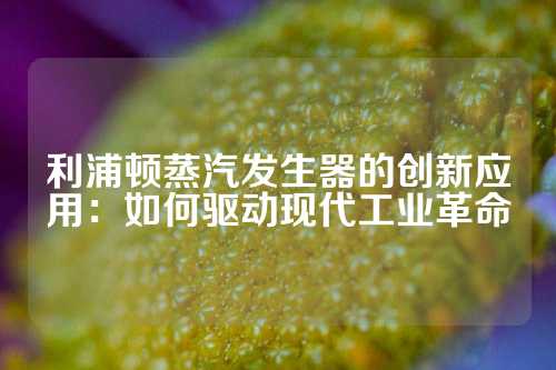 利浦顿蒸汽发生器的创新应用：如何驱动现代工业革命