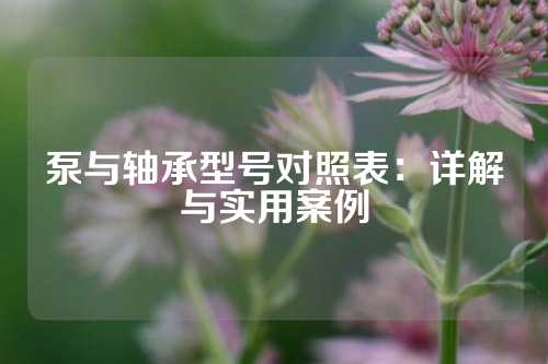 泵与轴承型号对照表：详解与实用案例