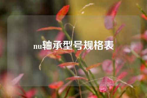 nu轴承型号规格表