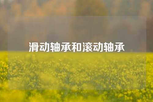 滑动轴承和滚动轴承