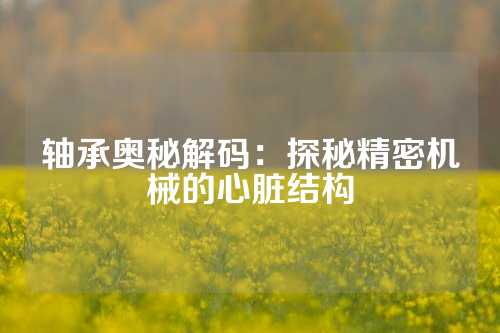 轴承奥秘解码：探秘精密机械的心脏结构