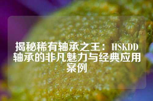 揭秘稀有轴承之王：HSKDD轴承的非凡魅力与经典应用案例