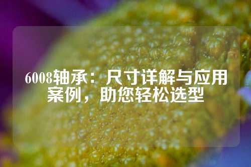 6008轴承：尺寸详解与应用案例，助您轻松选型