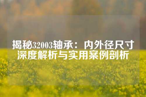 揭秘32003轴承：内外径尺寸深度解析与实用案例剖析