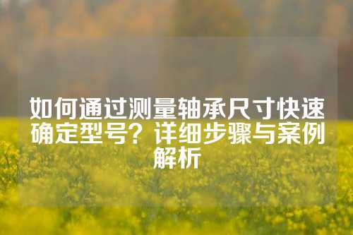 如何通过测量轴承尺寸快速确定型号？详细步骤与案例解析