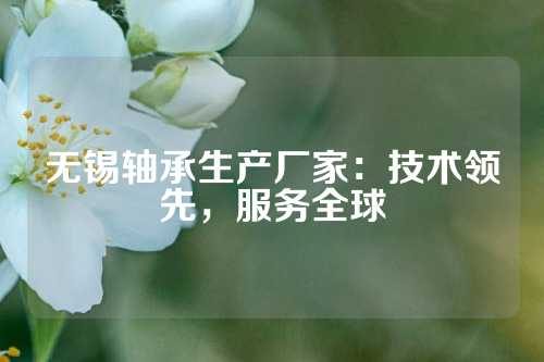 无锡轴承生产厂家：技术领先，服务全球