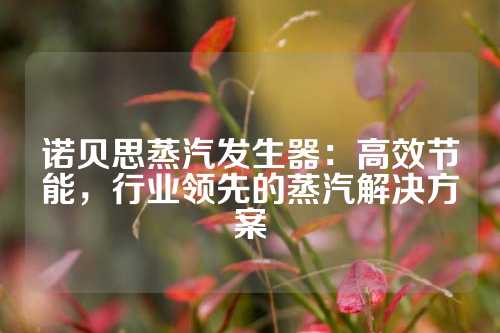 诺贝思蒸汽发生器：高效节能，行业领先的蒸汽解决方案