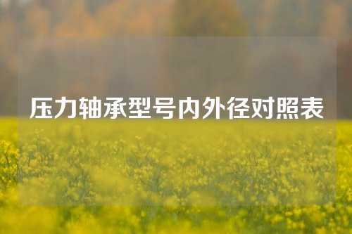 压力轴承型号内外径对照表