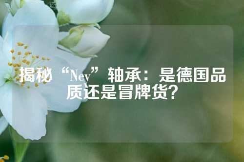 揭秘“Ney”轴承：是德国品质还是冒牌货？