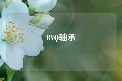 BVQ轴承