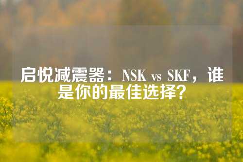 启悦减震器：NSK vs SKF，谁是你的最佳选择？