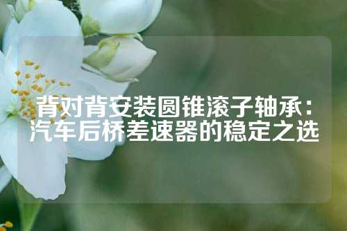 背对背安装圆锥滚子轴承：汽车后桥差速器的稳定之选