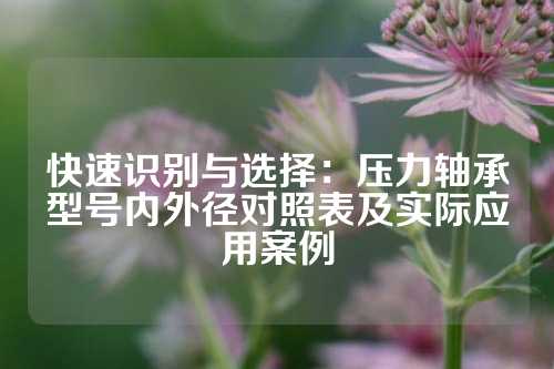 快速识别与选择：压力轴承型号内外径对照表及实际应用案例