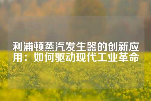 利浦顿蒸汽发生器的创新应用：如何驱动现代工业革命