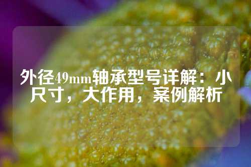 外径49mm轴承型号详解：小尺寸，大作用，案例解析