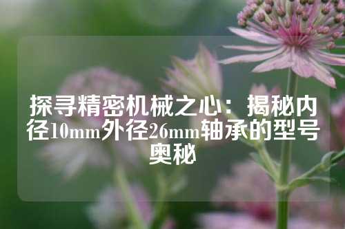 探寻精密机械之心：揭秘内径10mm外径26mm轴承的型号奥秘