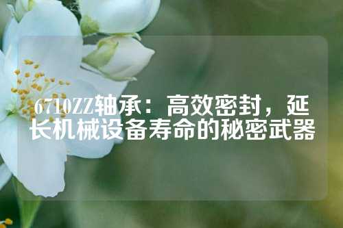 6710ZZ轴承：高效密封，延长机械设备寿命的秘密武器