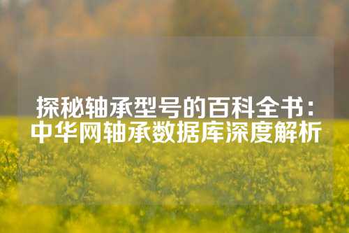 探秘轴承型号的百科全书：中华网轴承数据库深度解析