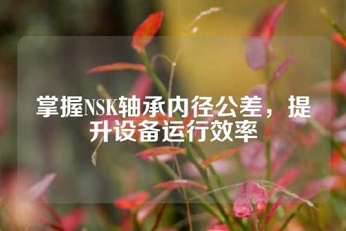 掌握NSK轴承内径公差，提升设备运行效率