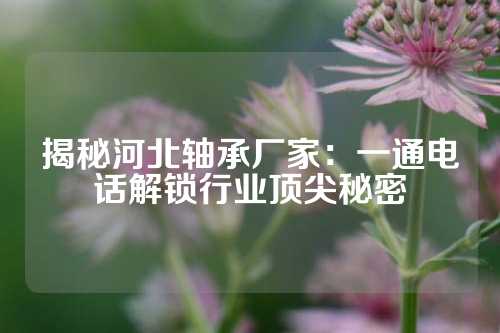 揭秘河北轴承厂家：一通电话解锁行业顶尖秘密