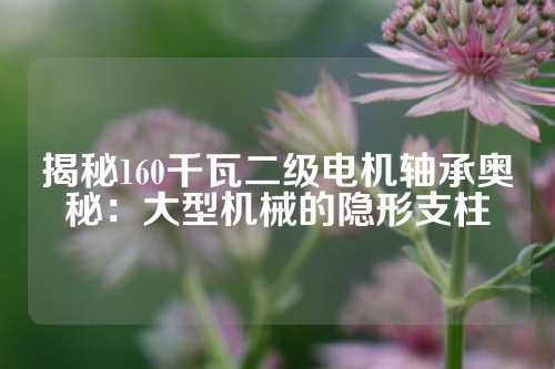 揭秘160千瓦二级电机轴承奥秘：大型机械的隐形支柱