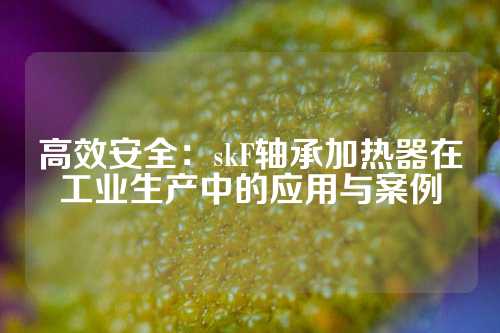 高效安全：skF轴承加热器在工业生产中的应用与案例