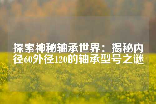 探索神秘轴承世界：揭秘内径60外径120的轴承型号之谜