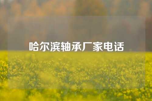 哈尔滨轴承厂家电话