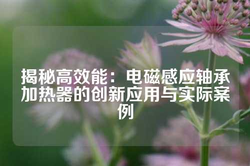 揭秘高效能：电磁感应轴承加热器的创新应用与实际案例