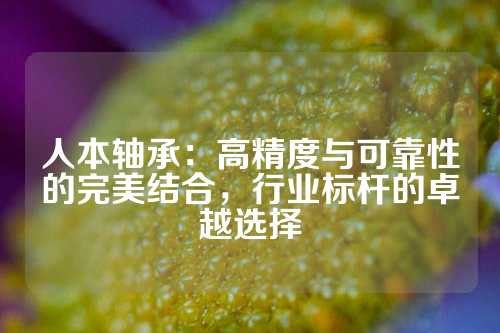 人本轴承：高精度与可靠性的完美结合，行业标杆的卓越选择