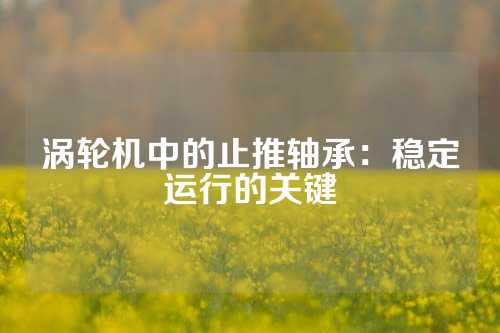 涡轮机中的止推轴承：稳定运行的关键