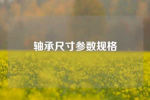 轴承尺寸参数规格