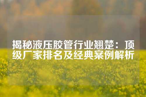 揭秘液压胶管行业翘楚：顶级厂家排名及经典案例解析