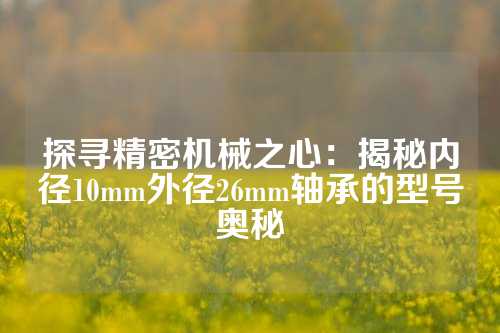 探寻精密机械之心：揭秘内径10mm外径26mm轴承的型号奥秘