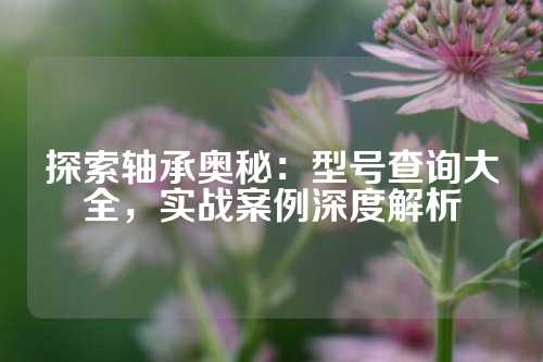 探索轴承奥秘：型号查询大全，实战案例深度解析