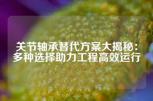 关节轴承替代方案大揭秘：多种选择助力工程高效运行