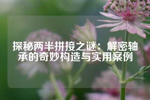 探秘两半拼接之谜：解密轴承的奇妙构造与实用案例