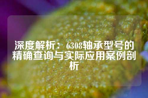 深度解析：6308轴承型号的精确查询与实际应用案例剖析