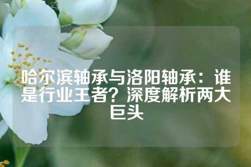 哈尔滨轴承与洛阳轴承：谁是行业王者？深度解析两大巨头