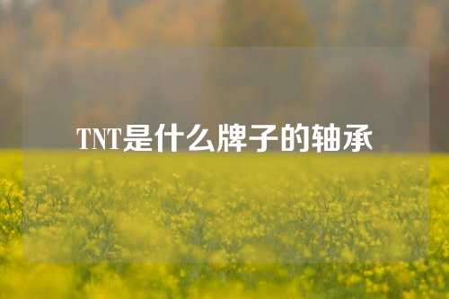 TNT是什么牌子的轴承