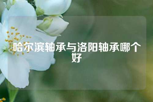 哈尔滨轴承与洛阳轴承哪个好