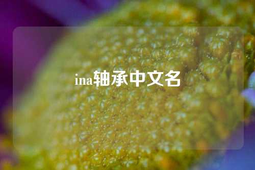 ina轴承中文名